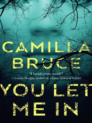 You Let Me In - ebook
